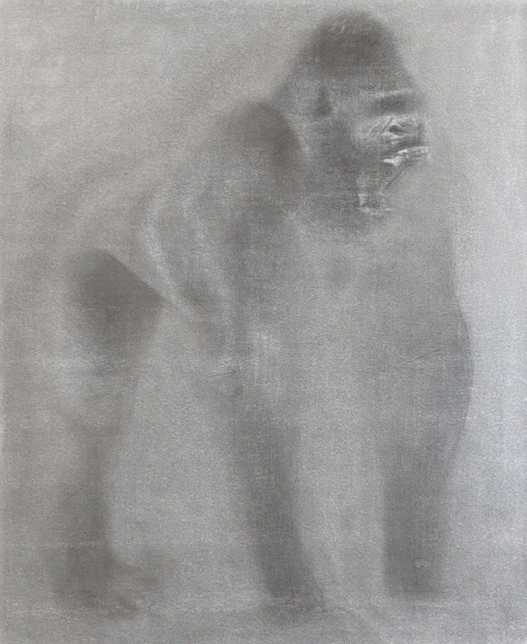 Juan Carlos Ceci, Anna Marzuttini, Francesco Pedrini, Ettore Pinelli – L’occhio del pittore è un occhio tutto rossohttps://www.exibart.com/repository/media/formidable/11/img/a02/Ettore-Pinelli-Le-possibilità-di-un-attimo-Gorilla-001-2015-Fusaggine-su-Carta-190x150cm-1068x1305.jpg