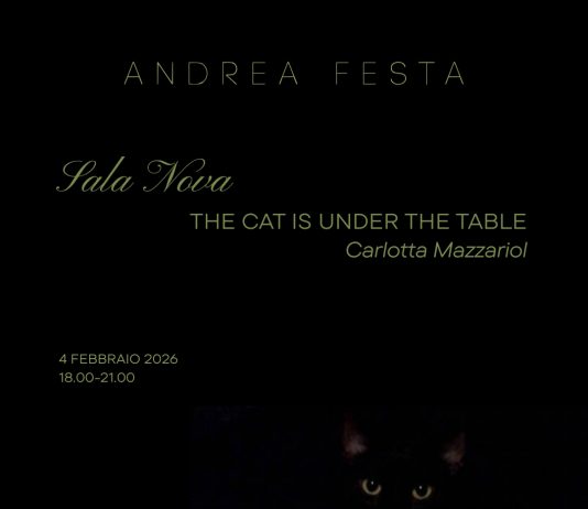 Carlotta Mazzariol – Sala Nova: The Cat is Under the Table
