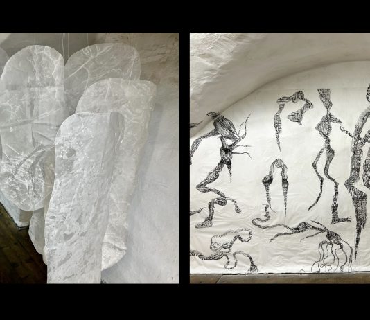 Adriana Carambia / Iris Barr – Eco-Sistemi in ombra