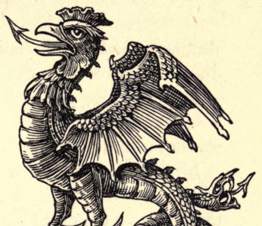 Nature | Feeling | Form