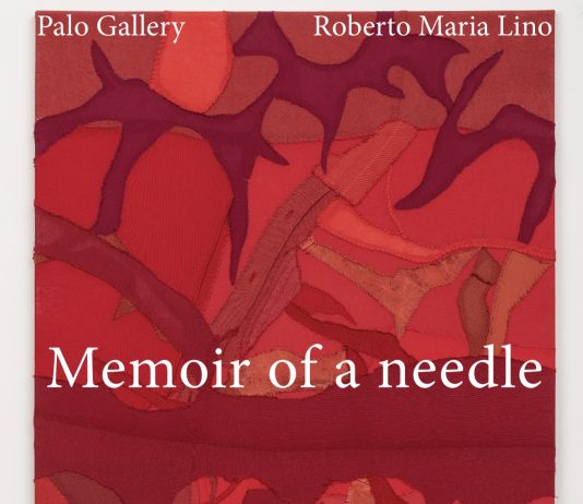 Memoir of a needle