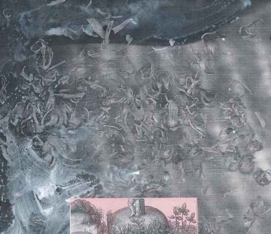 Amitai Romm – Graft