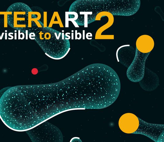 BACTERIART. From invisible to visible