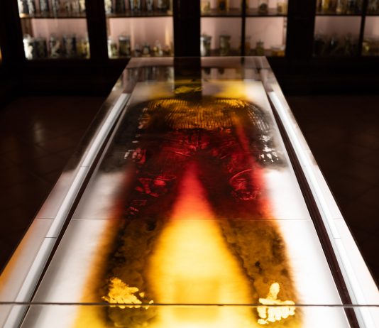 Anatomia delle Qualità