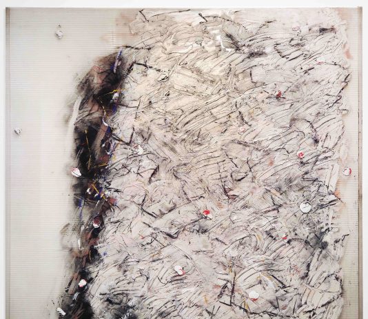 Marco Gastini – Opere americane