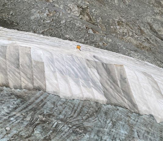 Fiorella Iacono – Lo stato delle cose