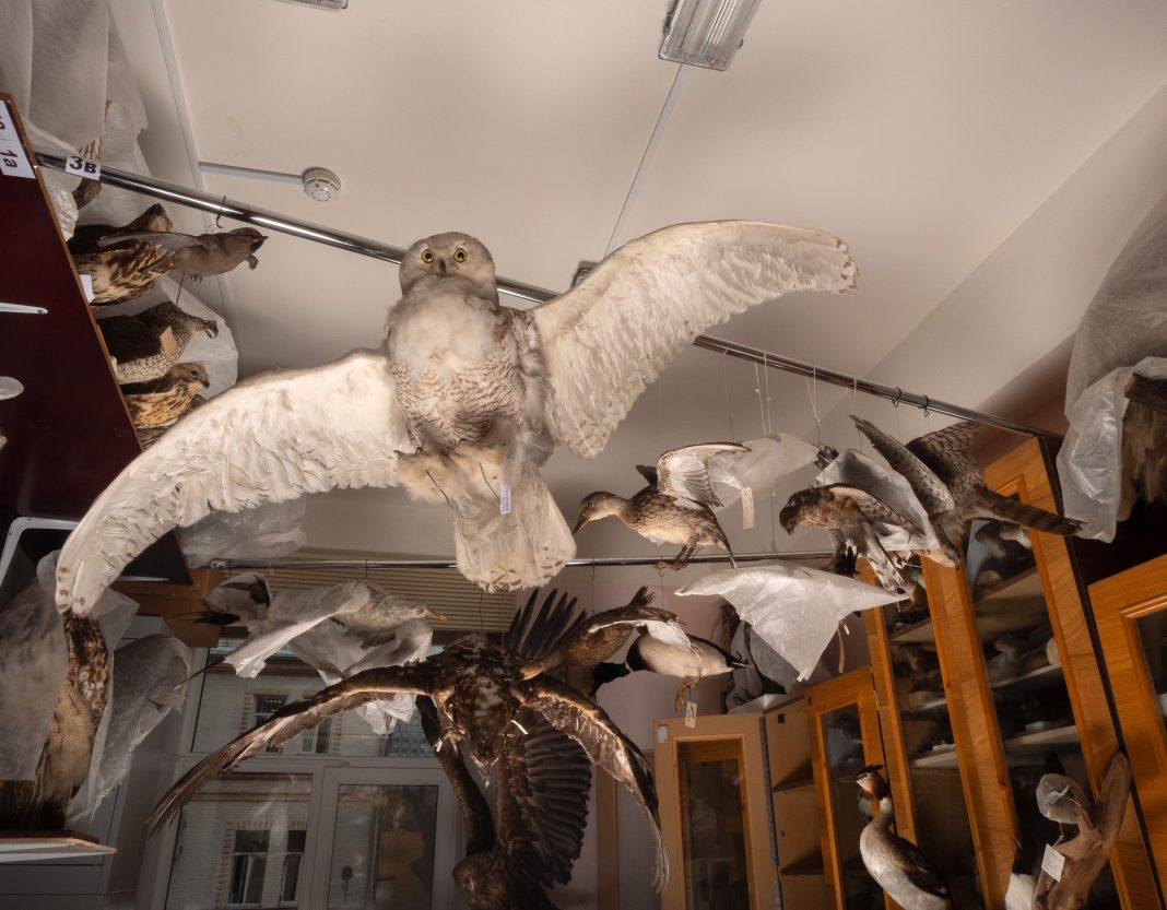 The Permian Projectshttps://www.exibart.com/repository/media/formidable/11/img/a89/j-rJqbzA-1068x833.jpeg