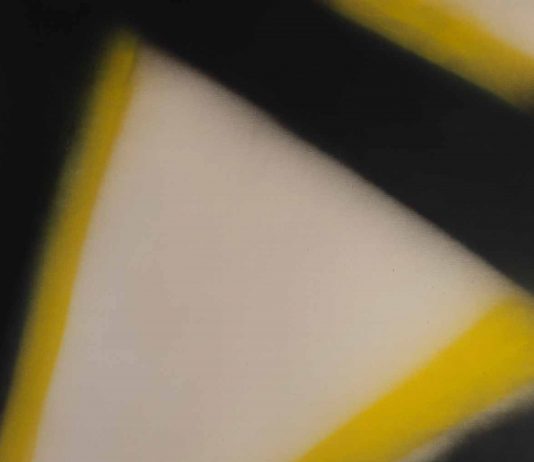 Claudio Olivieri. Vedere a oltranza