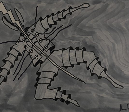 Marco Piccinelli – Illusioni oniriche