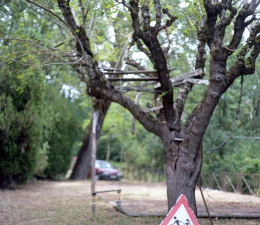 Giulia Fosca Borelli – Memorie