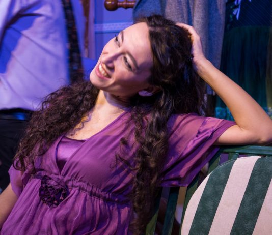 Vipes – Una commedia sulla vita da attori