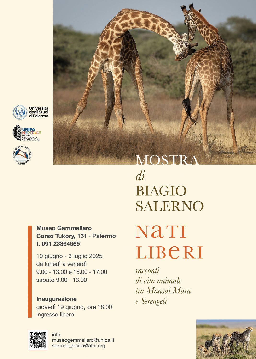 Biagio Salerno – Nati liberi. Racconti di vita animale tra Maasai Mara e Serengetihttps://www.exibart.com/repository/media/formidable/11/img/ae3/Biagio-Salerno-Nati-liberi-1068x1495.jpg