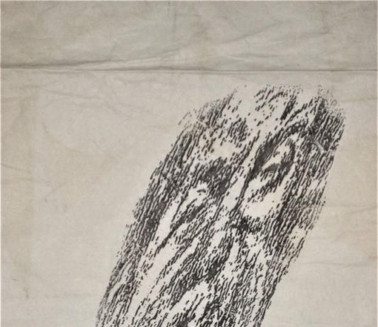 Tommaso Massimi – anemos