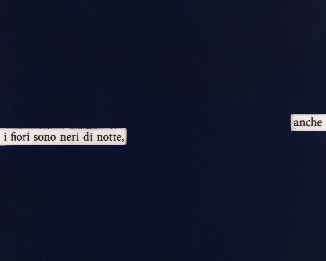 Rosario Calabrese, anche i fiori sono neri di nottehttps://www.exibart.com/repository/media/formidable/11/img/b13/Rosario-Calabrese-anche-i-fiori-sono-neri-di-notte-1068x854.jpg