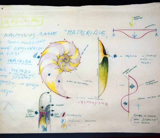Dialoghi continui ubi materia ibi geometria