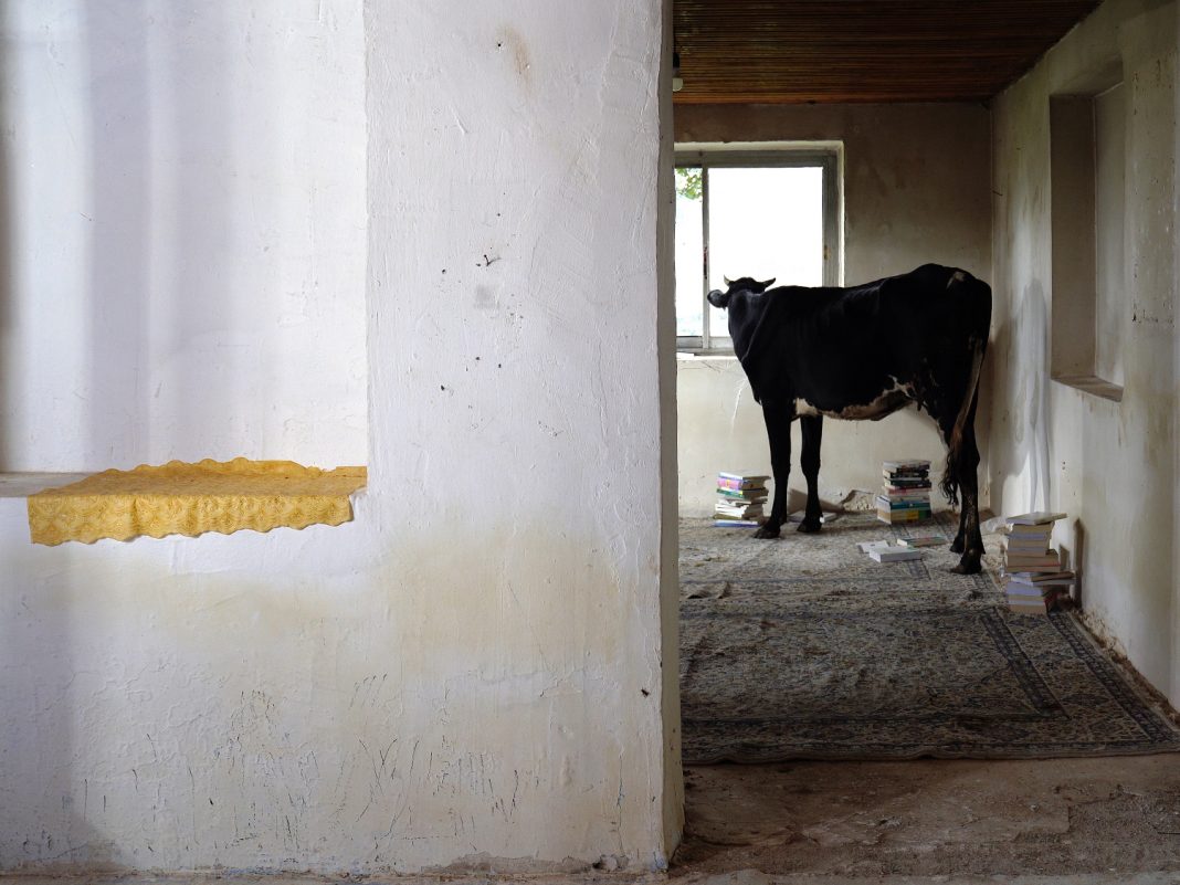 Shadi Harouni – The Owl’s Made a Nest on the Ruins of the Hearthttps://www.exibart.com/repository/media/formidable/11/img/b15/immagine-correlata_low-1068x801.jpg