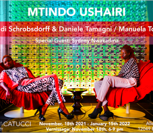 MTINDO USHAIRI (Swahili for Poetic Movement)