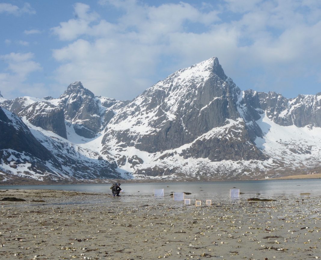 Roberto Ghezzi – The Greenland Projecthttps://www.exibart.com/repository/media/formidable/11/img/b28/Roberto-Ghezzi-installazione-Naturografie2019-1068x865.jpeg