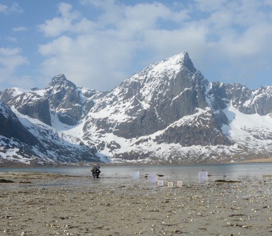 Roberto Ghezzi – The Greenland Project