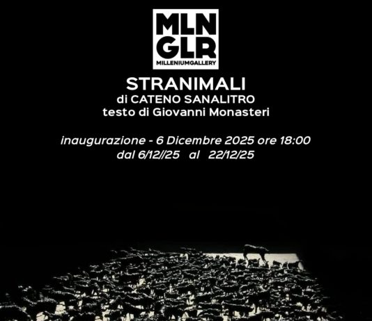 Cateno Sanalitro – Stranimali