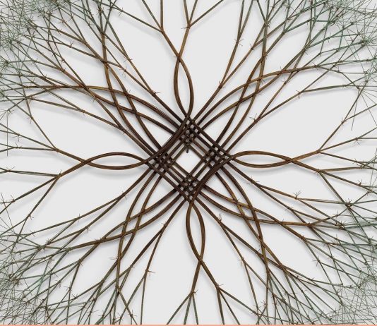 Cedi la strada agli alberi