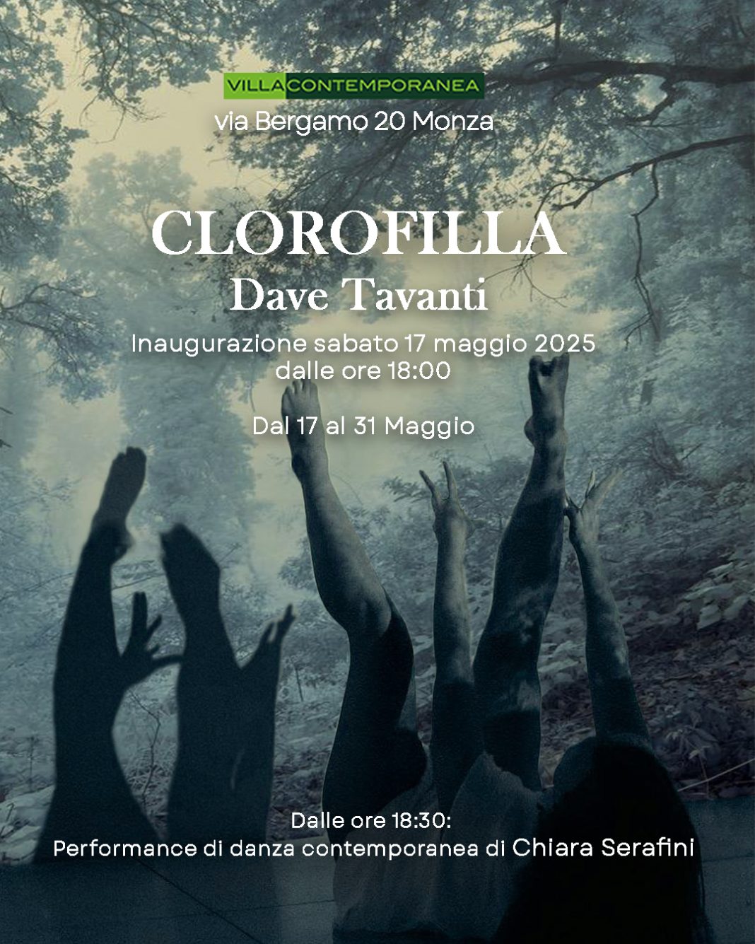 Clorofilla, Dave Tavantihttps://www.exibart.com/repository/media/formidable/11/img/b53/Clorofilla-Villa-Insta-1068x1335.jpg