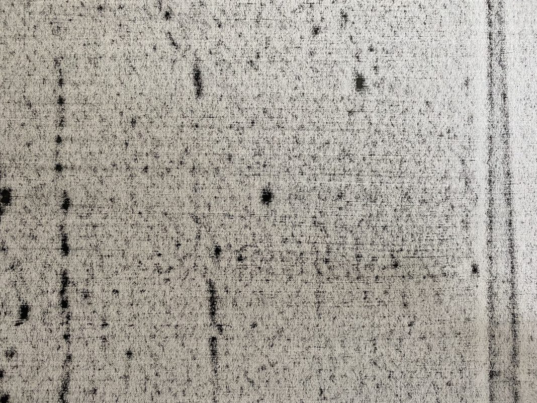 Stuart Ringholt – Verso Pictureshttps://www.exibart.com/repository/media/formidable/11/img/b58/StuartRingholt-low-1068x801.jpg