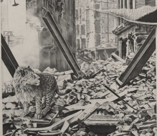 Predizione Perdizione