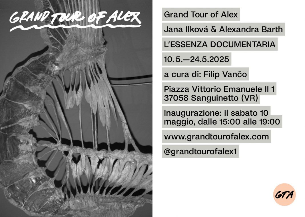 Jana Ilková / Alexandra Barth – L’essenza documentariahttps://www.exibart.com/repository/media/formidable/11/img/b6a/invitoJI2-1068x758.jpg