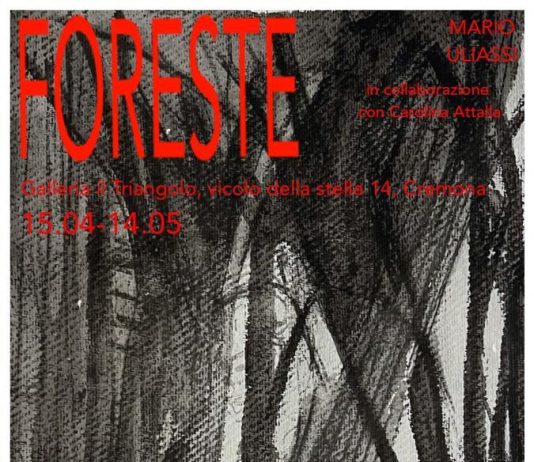 Mario Uliassi – Foreste in fiamme