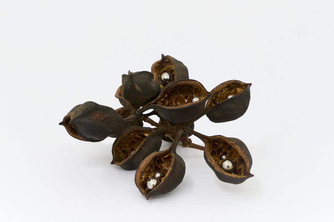 Fragile States: Dimitra Charamandas, Olga Grotova, Anna Hulacová, Eliška Konecná, Ania Bakhttps://www.exibart.com/repository/media/formidable/11/img/b76/DSC0309-1068x712.jpg