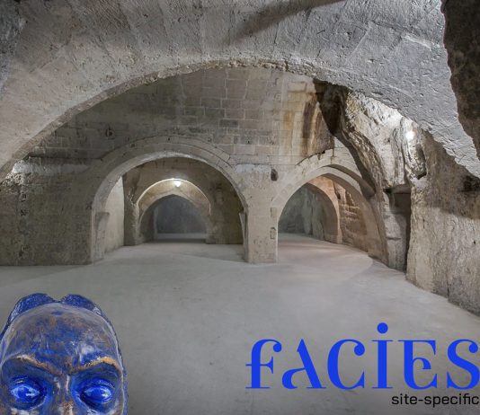 Paolo De Santoli – Facies. La forma del volto, la forma dell’anima Paolo De Santoli – Facies. La forma del volto, la forma dell’anima