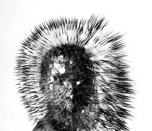 Ram Shergill: – Posthuman Bodying. The Birth of a Critical Posthuman Practice