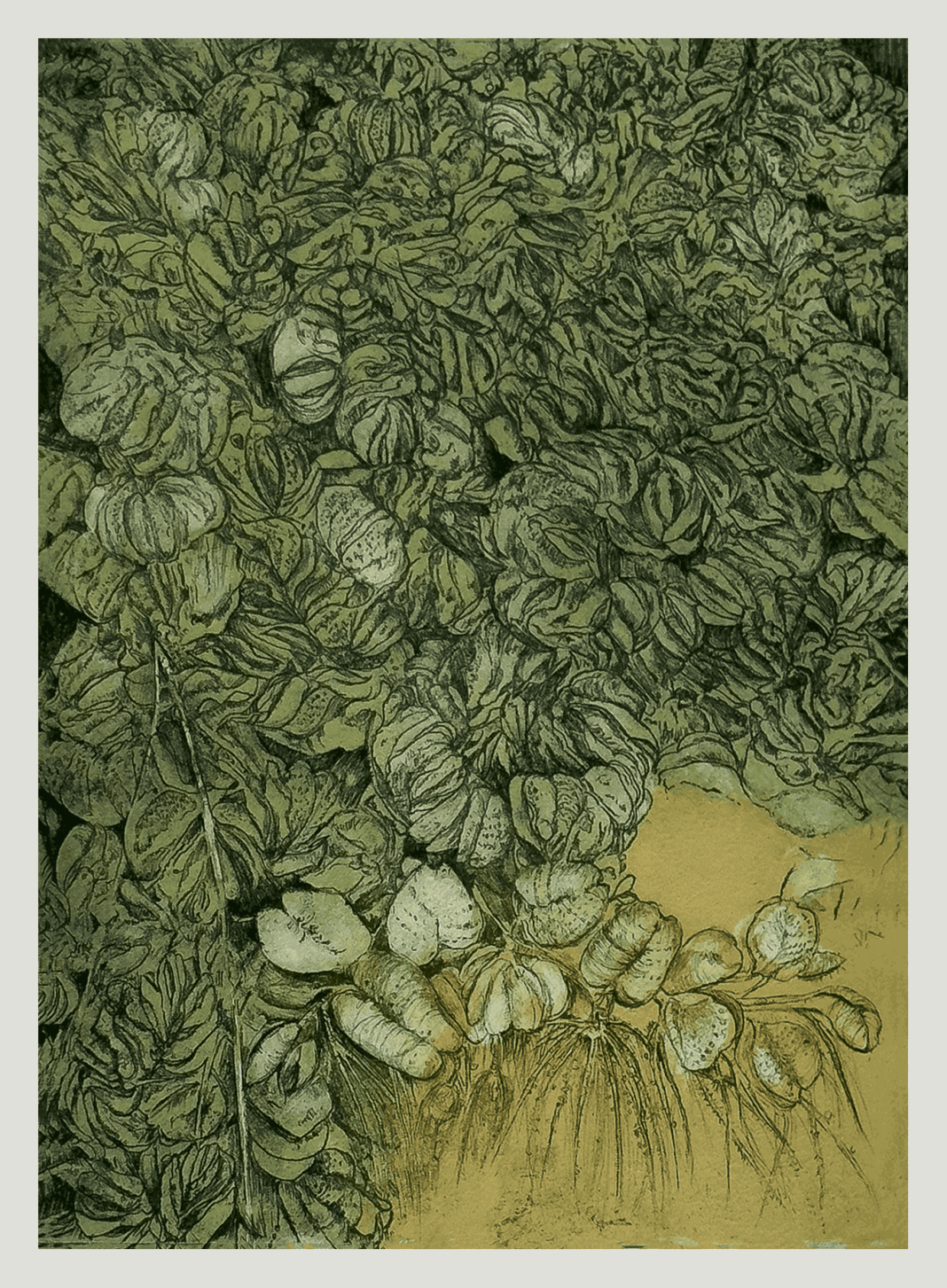 Leslie Koptcho – Botanica Collectaneahttps://www.exibart.com/repository/media/formidable/11/img/bc0/2_Giant-Salvinia-copy-1_11zon-1068x1453.png