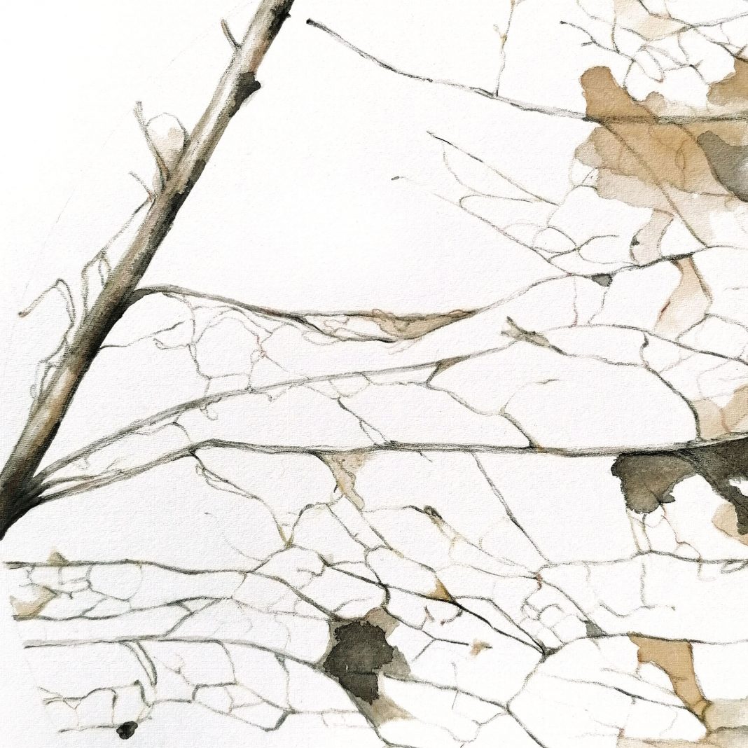 Annalisa Di Meo – Ecce Foliumhttps://www.exibart.com/repository/media/formidable/11/img/bc0/ritratto-di-foglia-4-1068x1068.jpg