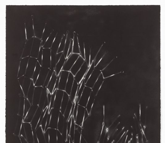 Mona Hatoum – Behind the Seen