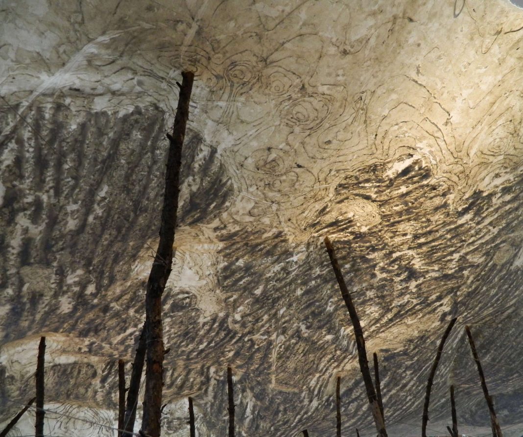 Ketty Gobbo – Wood Wide Webhttps://www.exibart.com/repository/media/formidable/11/img/bd2/Ketty-Gobbo-Wood-Wide-Web-2026-Cartolina-1068x892.jpeg