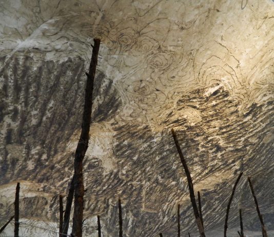 Ketty Gobbo – Wood Wide Web Ketty Gobbo – Wood Wide Web