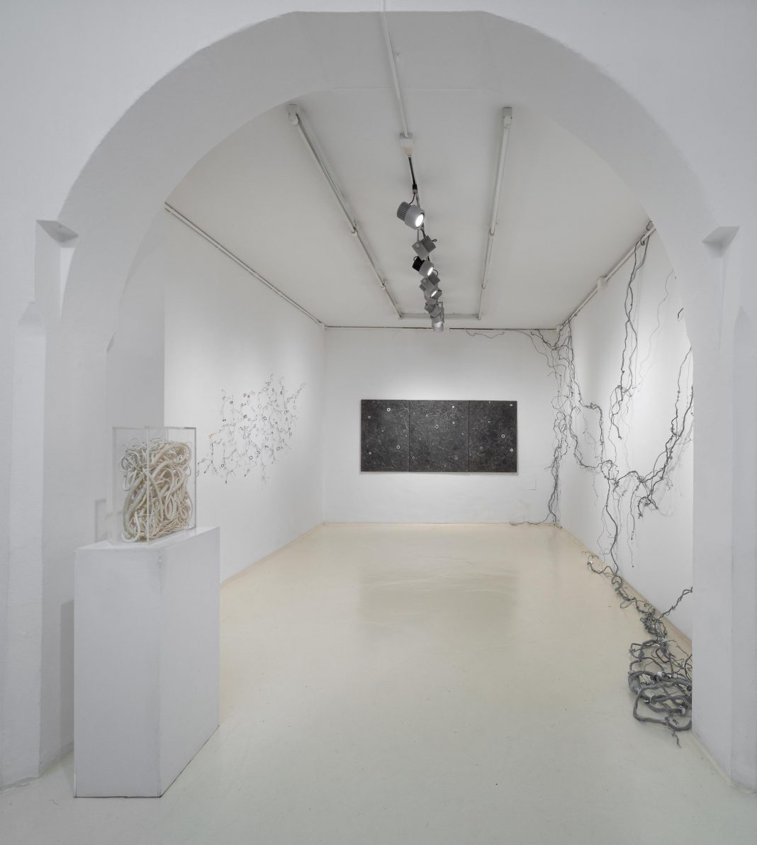 Barbara Grossato – Physishttps://www.exibart.com/repository/media/formidable/11/img/bef/Barbara-Grossato-Physis-veduta-della-mostra-foto-Studio-Vandrasch2025-1068x1192.jpg