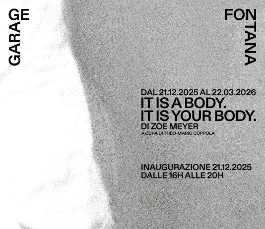 Zoe Meyer – It is a Body. It is your Body.