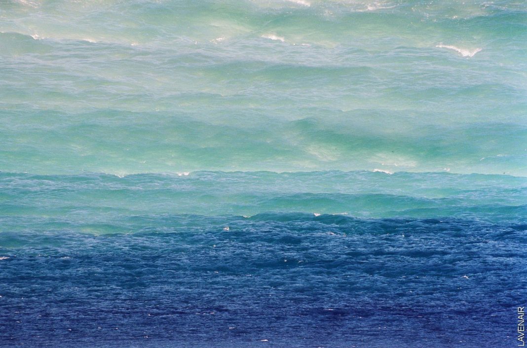 Artivism Awards IV. Ocean Preservation Awareness – A Discovery Expeditionhttps://www.exibart.com/repository/media/formidable/11/img/c0a/7.LAVENAIR-1068x706.jpg
