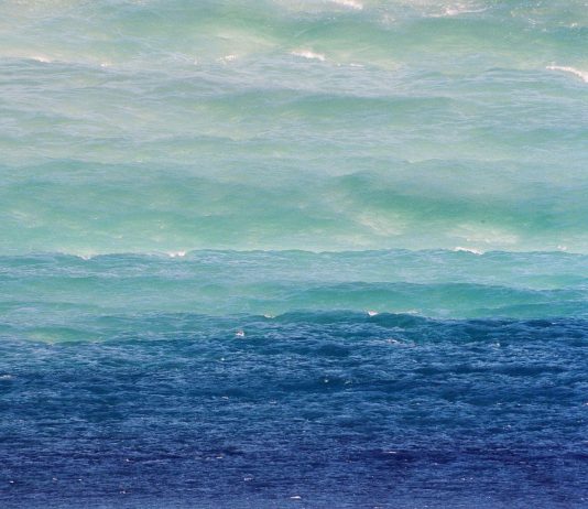 Artivism Awards IV. Ocean Preservation Awareness – A Discovery Expedition
