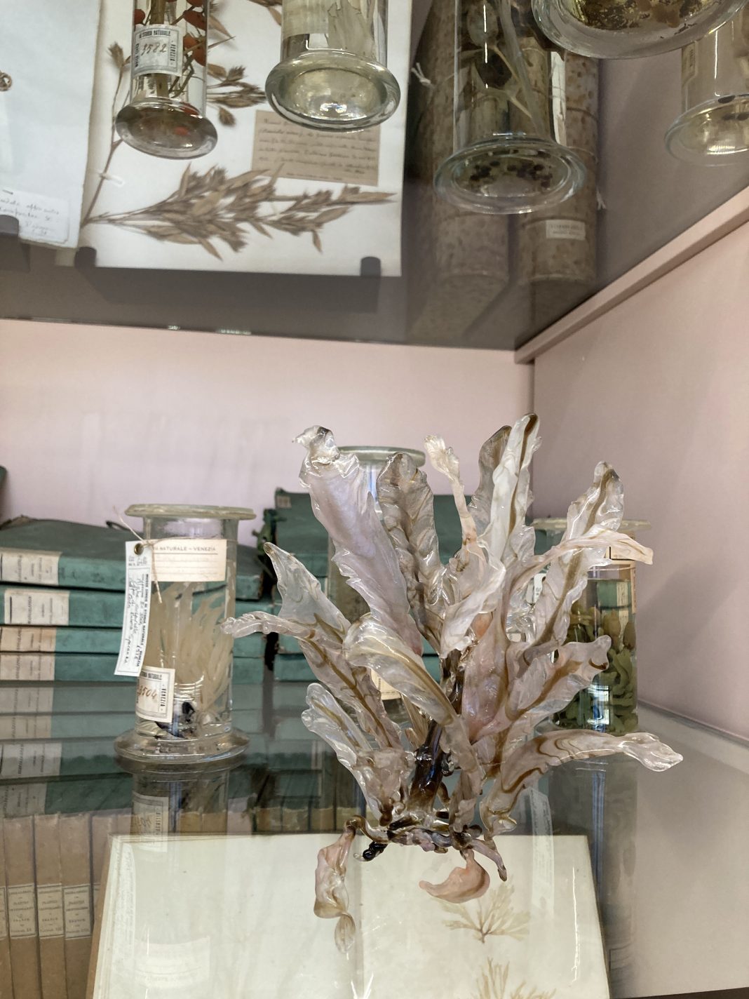 Più vero del vero. Bruno Amadi al Museo di Storia Naturalehttps://www.exibart.com/repository/media/formidable/11/img/c42/bruno-amadi-1068x1424.jpg