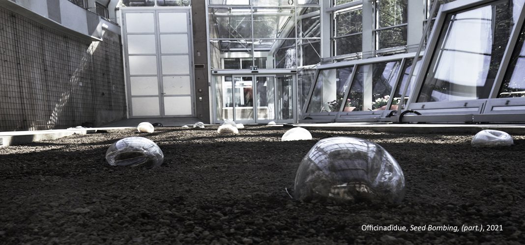 Seed Bombing sui Giardini di Castel Trauttsmandorfhttps://www.exibart.com/repository/media/formidable/11/img/c48/8AB8D06A-706C-4BAF-A130-B6006A09B83A-1068x498.jpeg