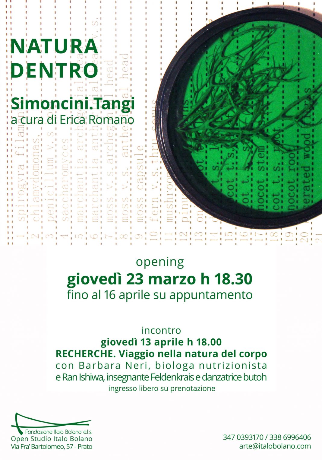 Simoncini.Tangi – Natura Dentrohttps://www.exibart.com/repository/media/formidable/11/img/c49/locandina-Simoncini-Tangi-r-1068x1525.jpg