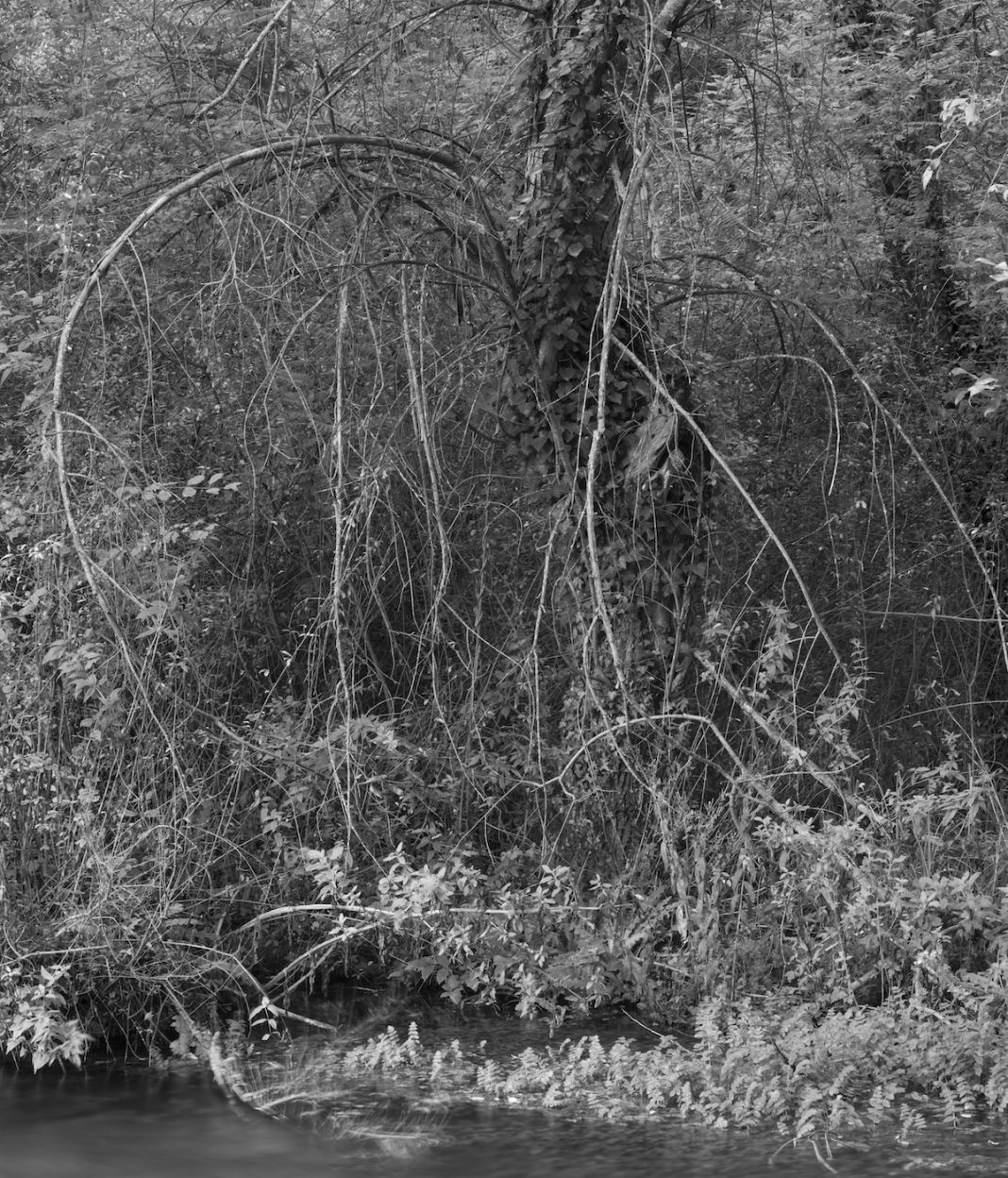 Antonio Di Cecco – Ciò che restahttps://www.exibart.com/repository/media/formidable/11/img/c62/A.DiCecco_Ciòcheresta_fotografia02_comunicazione-1068x1248.jpg