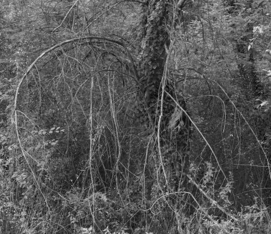 Antonio Di Cecco – Ciò che resta