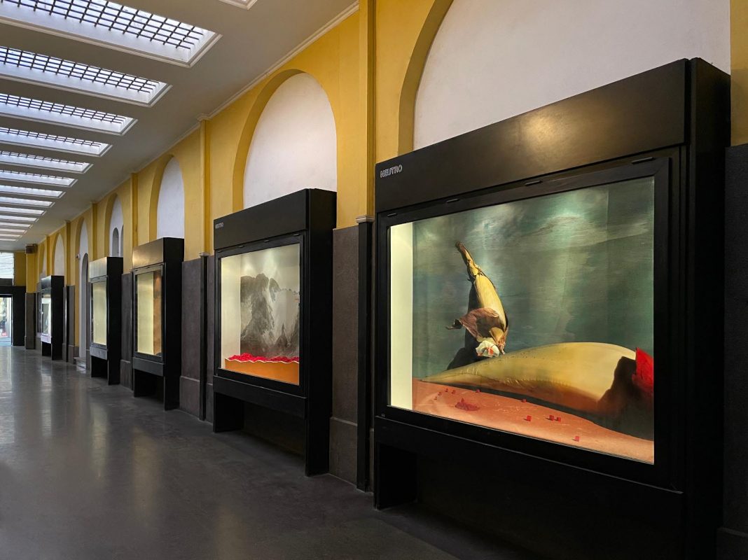 Lorenzo Vitturi – El camino y nada máshttps://www.exibart.com/repository/media/formidable/11/img/c6f/El-camino-y-nada-más-NEUTRO-Lorenzo-Vitturi-2-1068x800.jpg