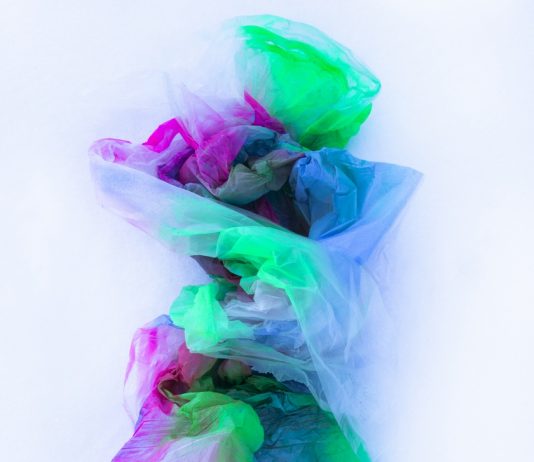 Inutile dolore. Fatti seme di bellezza