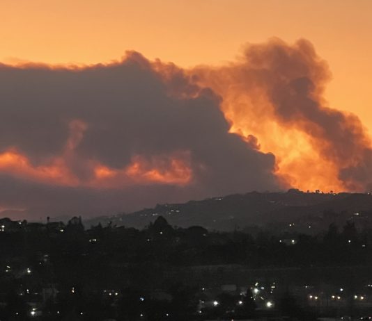 Save the L.A. Artists